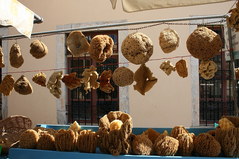 Rodos 2007 946